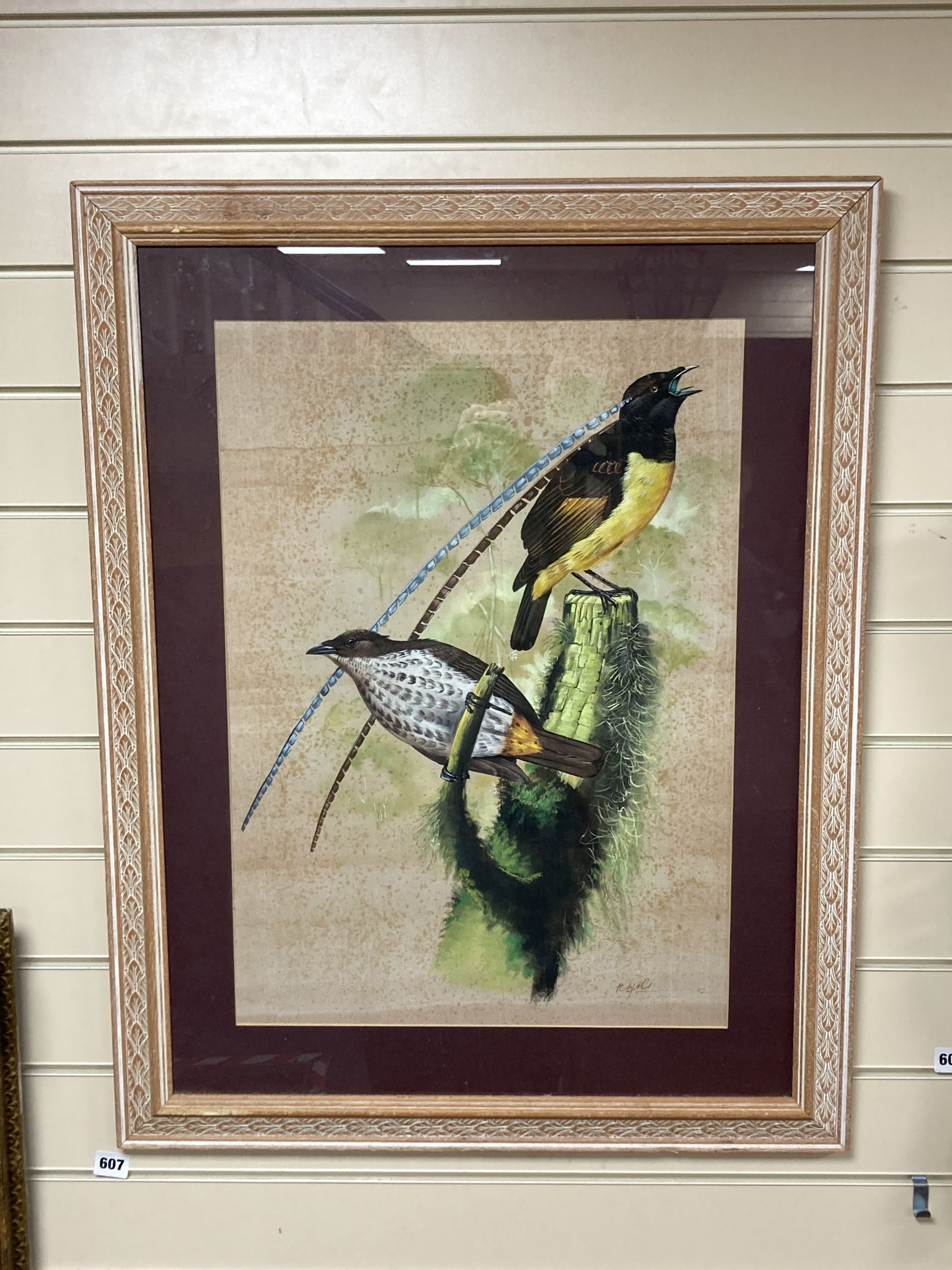 Eastern School, gouache on silk, Study of birds of Paradise, indistinctly signed, 61 x 43cm